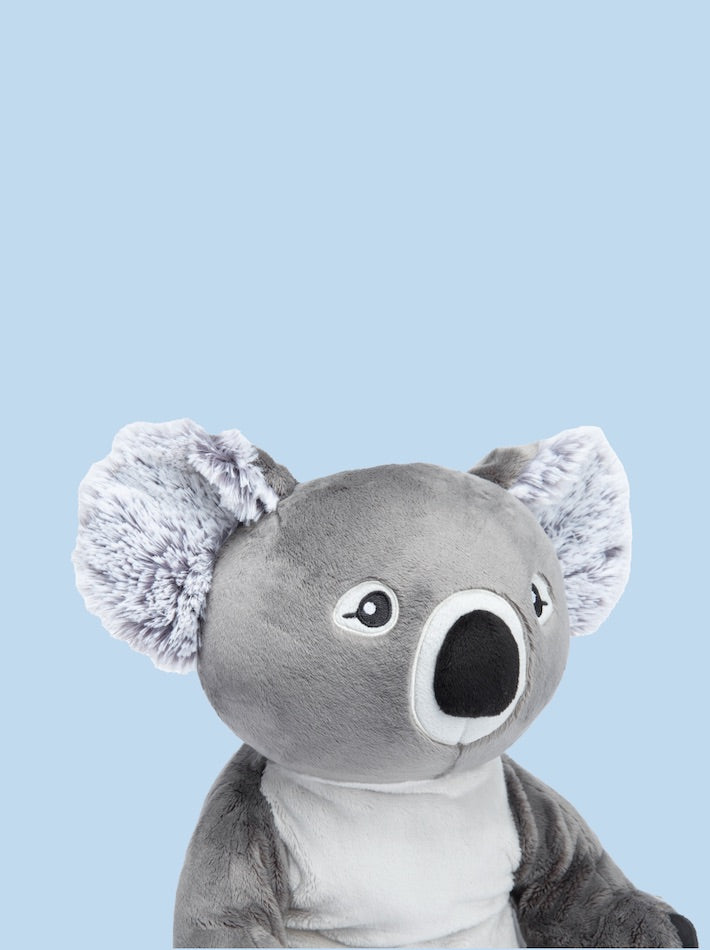 the top half of a koala stuffed animal on a blue background